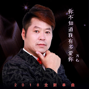 你不知道我有多爱你 (广场舞版)