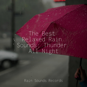 Feathered Waterside Bliss