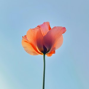 내려놔 (Feat. homezone, some:r)