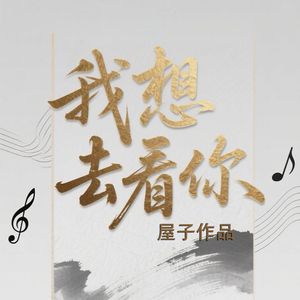 我想去看你