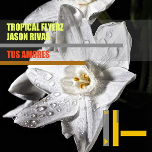 Tus Amores (Radio Edit)