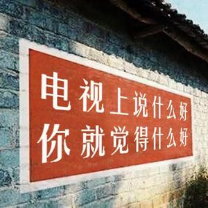 电视上说什么好，你就觉得什么好