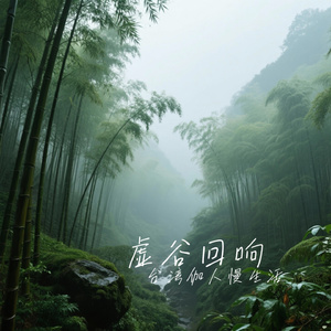 虚谷回响