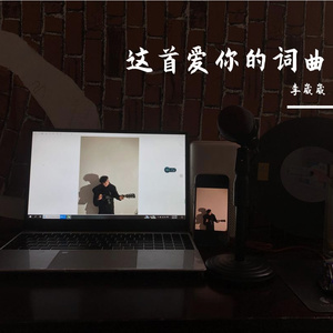 这首爱你的词曲