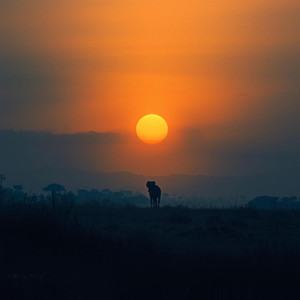 Sundowner