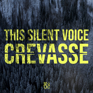 Crevasse