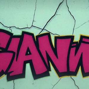 壁を乗り越えてきた道