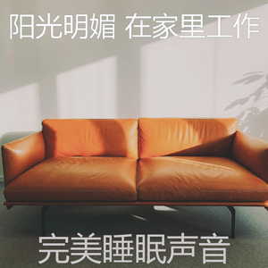 抚慰的睡眠回想