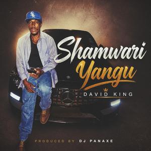 Shamwari yangu