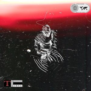 HORMIGAS SUBEN AL ÁRBOL (feat. Ann & Silver J)