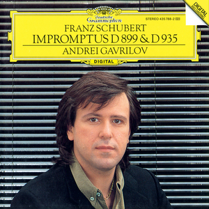 4 Impromptus, Op. 90, D. 899:No. 1 in C Minor: Allegro molto moderato