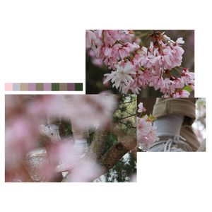 i used to steal from grocery stores a lot as a kid