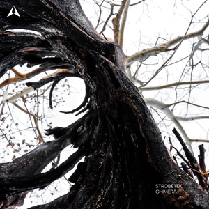 Chimera (Extended Mix)