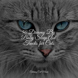 Ambient Soundscape for Sleep