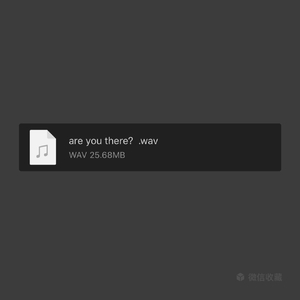are you there？.wav