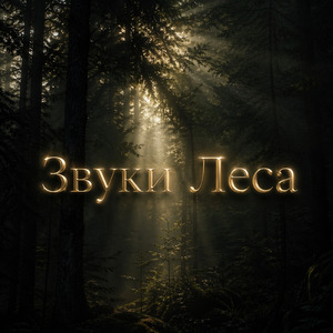 Звуки После Дождя