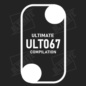 Animal Fest (Original Mix)