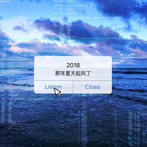 那年夏天起风了