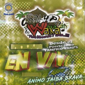 Anibo Jaiba Brava