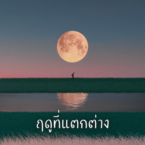 ฤดูที่แตกต่าง