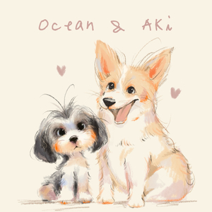 成长路上不迷茫.wav