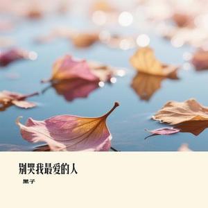 别哭我最爱的人 (Cover 雷婷)