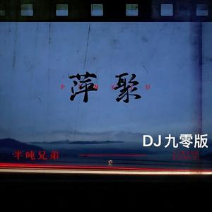 萍聚 (DJ九零版伴奏)