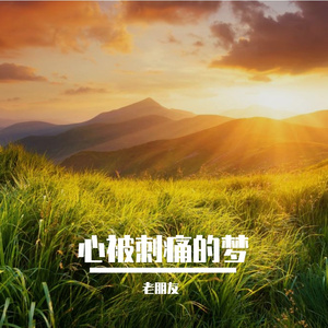 心伤的创口愈合难