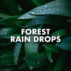 Rainbands