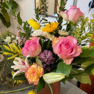 Pretty Little Things