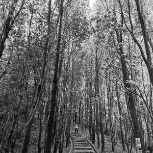 皆为凡人（光头华夏）—吉他翻唱