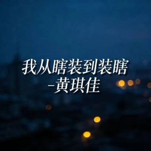 我从瞎装到装瞎 (DJ版)
