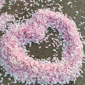 特别的人（翻唱版）