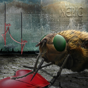 Faces To Faces (Part III)