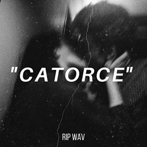 Catorce