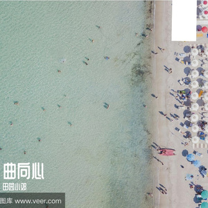 曲向心 (7)
