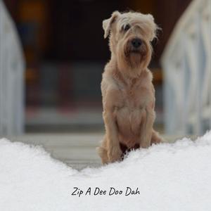 Zip A Dee Doo Dah