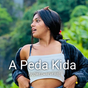 A Peda Kida Slowed Reverb