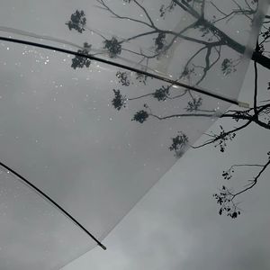 把爱藏远方