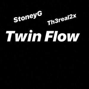 Twin Flow
