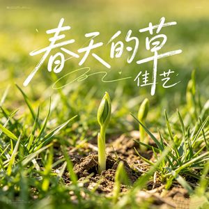 春天的草