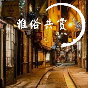 雅俗共赏（少年感）