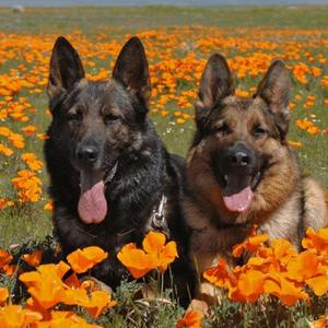 Man Now (feat. Yklilbluu)