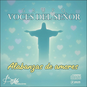 Dijiste si (Otra versión)