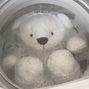 心墙