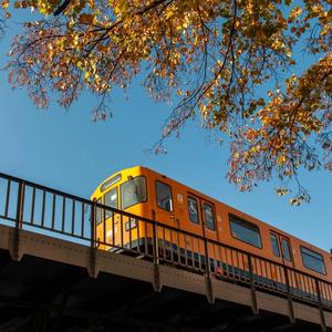 星星点点的微光