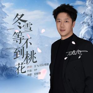 冬雪等不到桃花