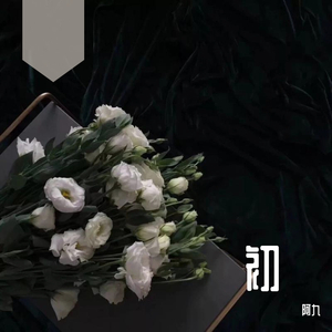 叹云兮