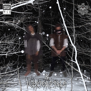 Don't Worry, Hitsugaya Sent Us