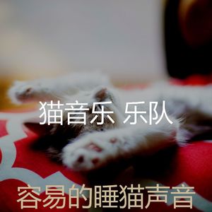 温和睡猫梦想